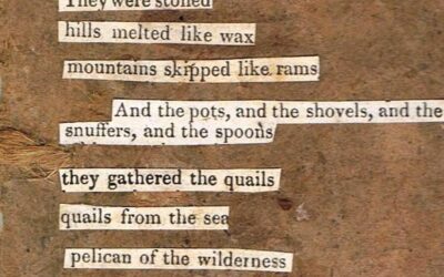 Untitled (Bible cut-up) by Dave Hubble
