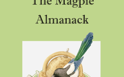 Carla Scarano D’Antonio reviews ‘The Magpie Almanack’ by Simon Williams