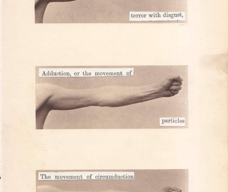 The Anatomy of an Art Student by Callum James