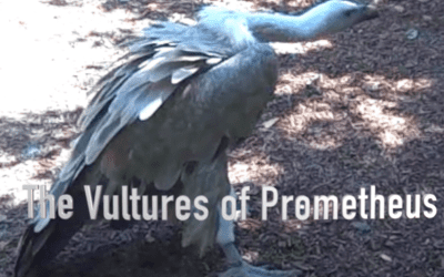 The Vultures of Prometheus by Ruth Aylett