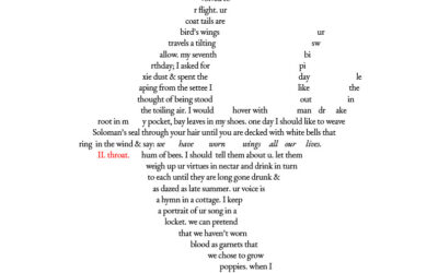 The Anatomy of the Swallow as a Metaphor for Unrequited Love, by Kym Deyn
