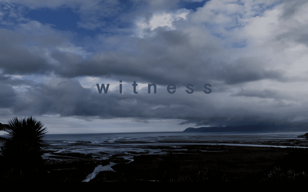 Witness by Simon Welsford
