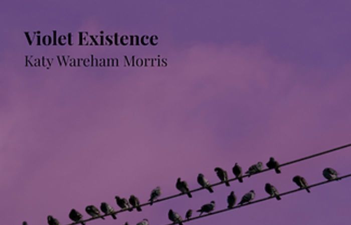 In Praise of:  JP Seabright reviews ‘Violet Existence’ by Katy Wareham Morris