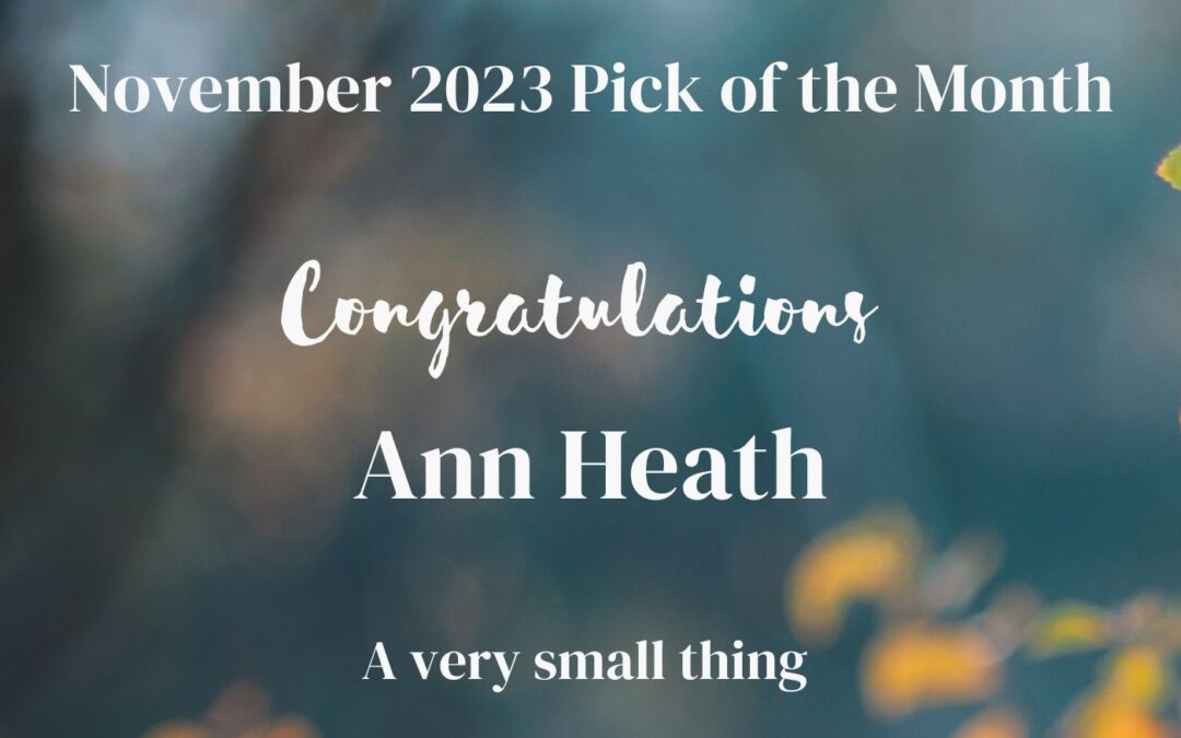 ‘A very small thing’ by Ann Heath is the IS&T November 2023 Pick of the Month
