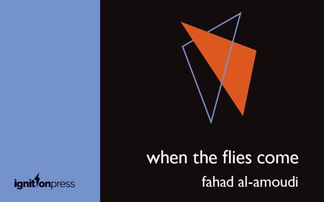 Kayleigh Jayshree In Praise Of … ‘when the flies come’ by Fahad Al-Amoudi