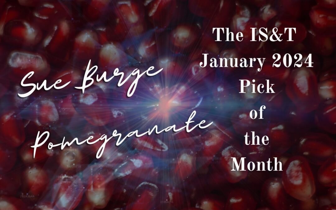 ‘Pomegranate’ by Sue Burge is the IS&T Pick of the Month for January 2024