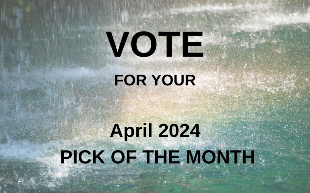 April 2024’s Pick of the Month. What Will You Choose?