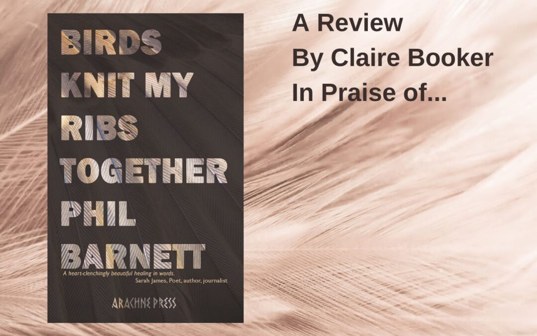 Claire Booker In Praise of… ‘Birds Knit My Ribs Together’ by Phil Barnett