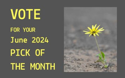The June 2024 Pick of the Month. Who Will Get Your Vote?
