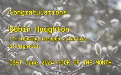 ‘I’m looking through a lattice of magnolia’ by Robin Houghton is the June 2024 Pick of the Month. Read and hear it here.