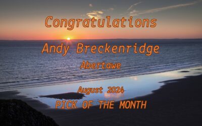 ‘Abertawe’ by Andy Breckenridge is the IS&T Pick of the Month for August 2024. Huge Congratulations!