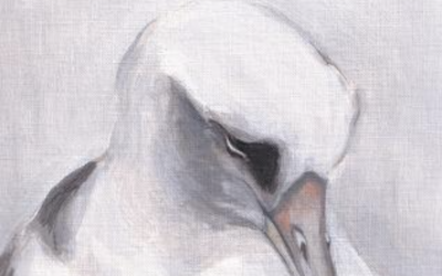 In Praise Of…: Chaucer Cameron reviews ‘Love the Albatross’ by Deborah Harvey