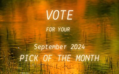 Which poem will you choose as your September 2024 Pick of the Month?