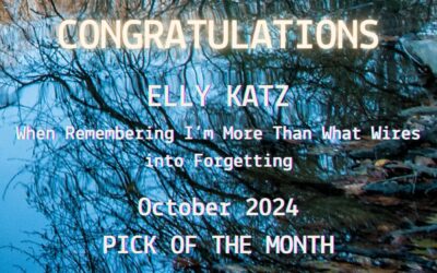 ‘When Remembering I’m More Than What Wires into Forgetting’ by Elly Katz is the IS&T Pick of The Month for October 2024!