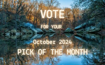 October 2024’s Pick of The Month. Who Will You Choose?