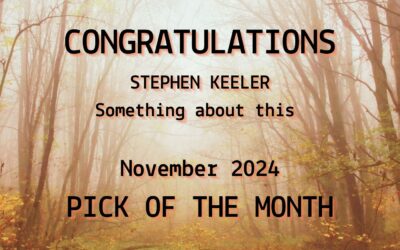 ‘Something about this’ by Stephen Keeler is the Pick of the Month for November 2024. Read and hear it here!