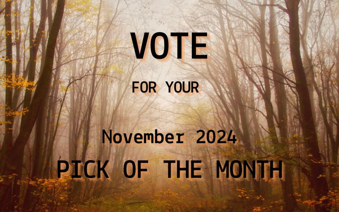 What Will You Choose as Your Pick of the Month for November 2024?