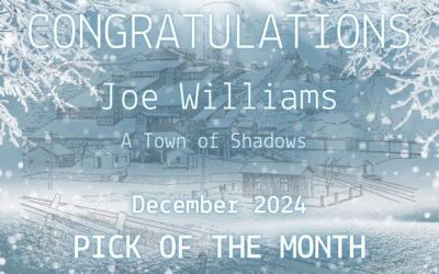 ‘A Town of Shadows’ by Joe Williams is the final Pick of the Month for 2024. Read and Hear it Here!