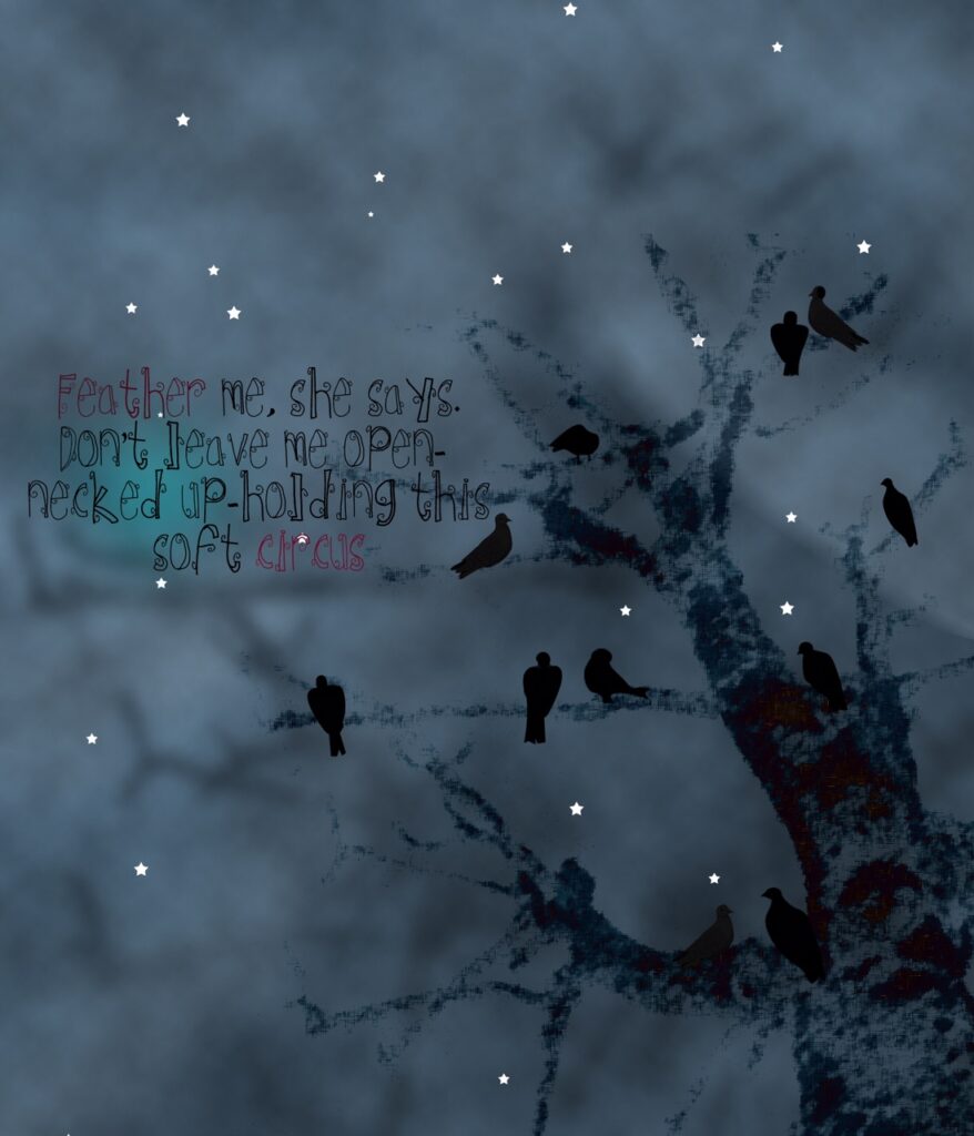 Graphic image: Silhouettes of black birds on a tree with bright white stars in a dark night. Text: Feather me, she says. Don’t leave me open -necked up-holding this soft circus 