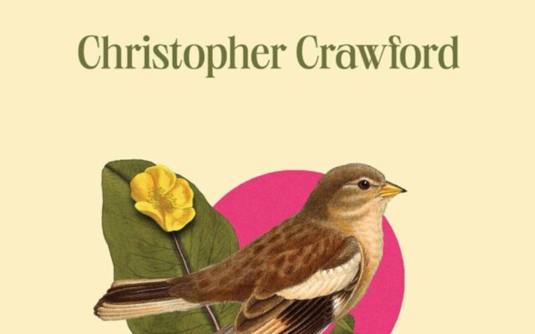 In Praise Of…: Annie Brechin reviews ‘Divorcee Disco Music’ by Christopher Crawford