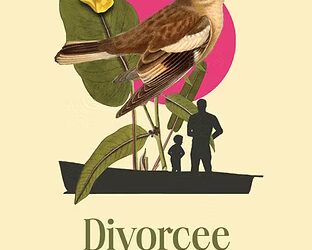 In Praise Of…: Annie Brechin reviews ‘Divorcee Disco Music’ by Christopher Crawford