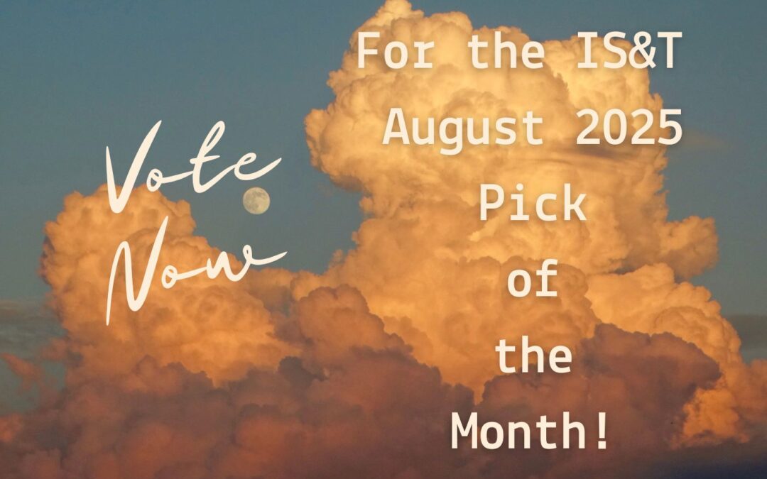 The August 2025 Pick of the Month! Which Will You Choose?