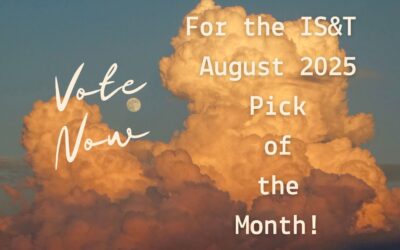 The August 2025 Pick of the Month! Which Will You Choose?
