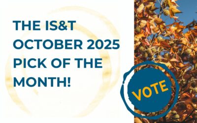 Please Vote for Your IS&T October 2025 Pick of the Month!