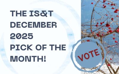 The Final IS&T Pick of the Month for 2025. Who will be your December choice?