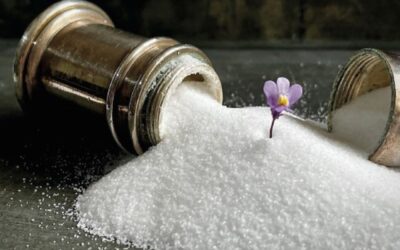 Andrea Holland Reviews ‘Salt & Snow’ by Naomi Foyle